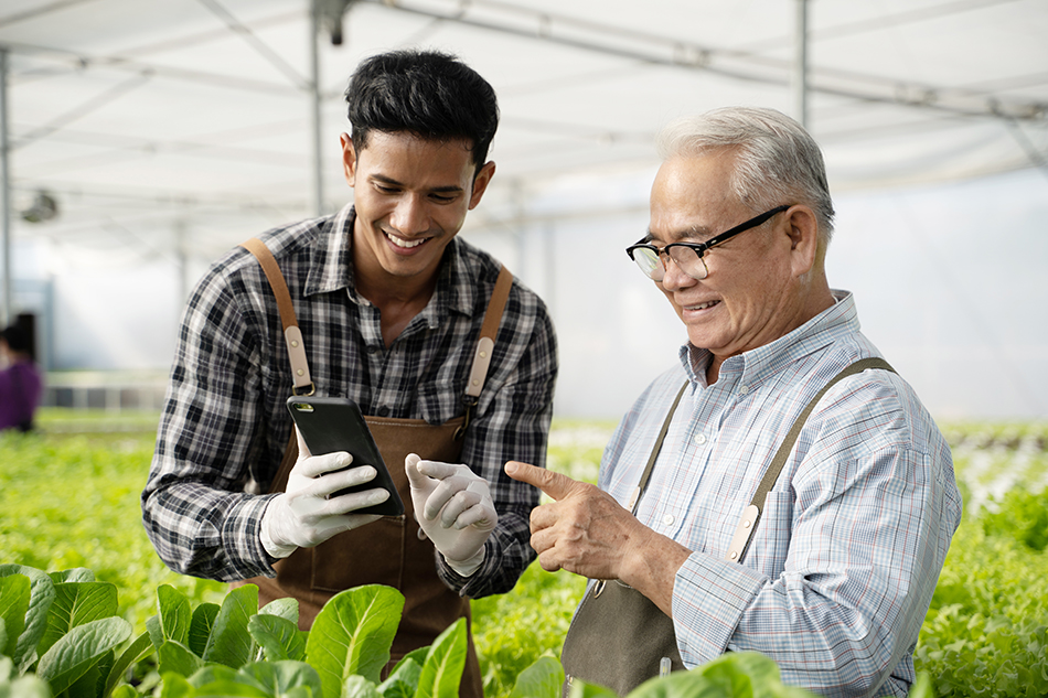 Farmer Talking and Discussion